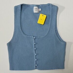 Luna Ivy Blue Ribbed Crop Top